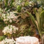 Domine o Verde em Casa: Guia Definitivo para Iniciantes Cuidarem de Plantas com Sucesso — como cuidar de plantas dentro de ca