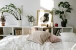 As Melhores Plantas para Quarto de Dormir: O Guia Definitivo para um Sono Reparador e Ar Puro — melhores plantas para quarto
