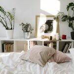 As Melhores Plantas para Quarto de Dormir: O Guia Definitivo para um Sono Reparador e Ar Puro — melhores plantas para quarto