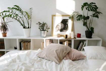 As Melhores Plantas para Quarto de Dormir: O Guia Definitivo para um Sono Reparador e Ar Puro — melhores plantas para quarto