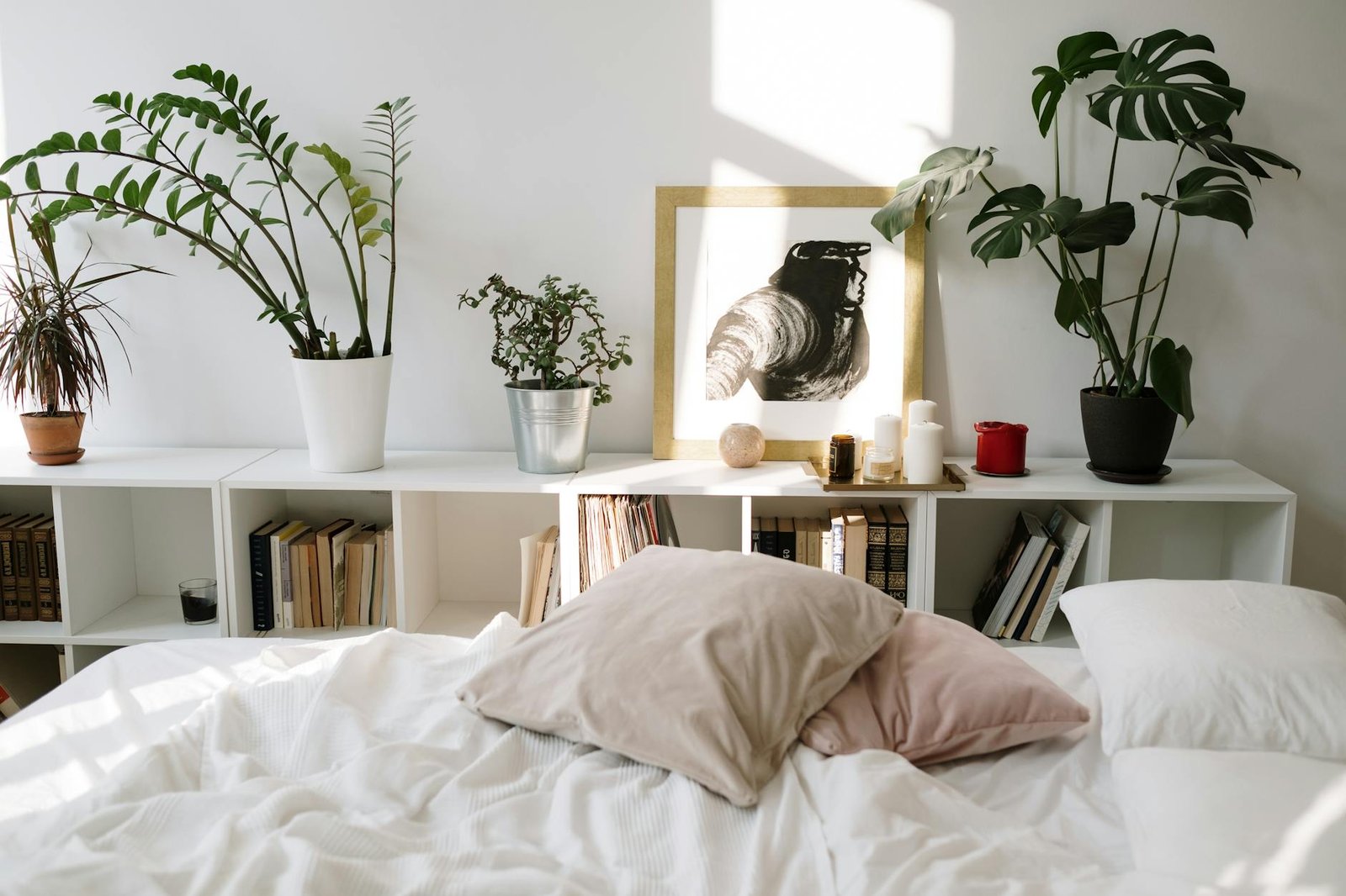 As Melhores Plantas para Quarto de Dormir: O Guia Definitivo para um Sono Reparador e Ar Puro — melhores plantas para quarto